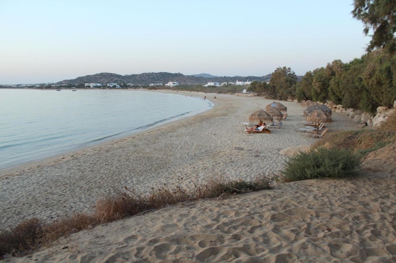 Villa Paradise in Naxos Pláka Esterno foto