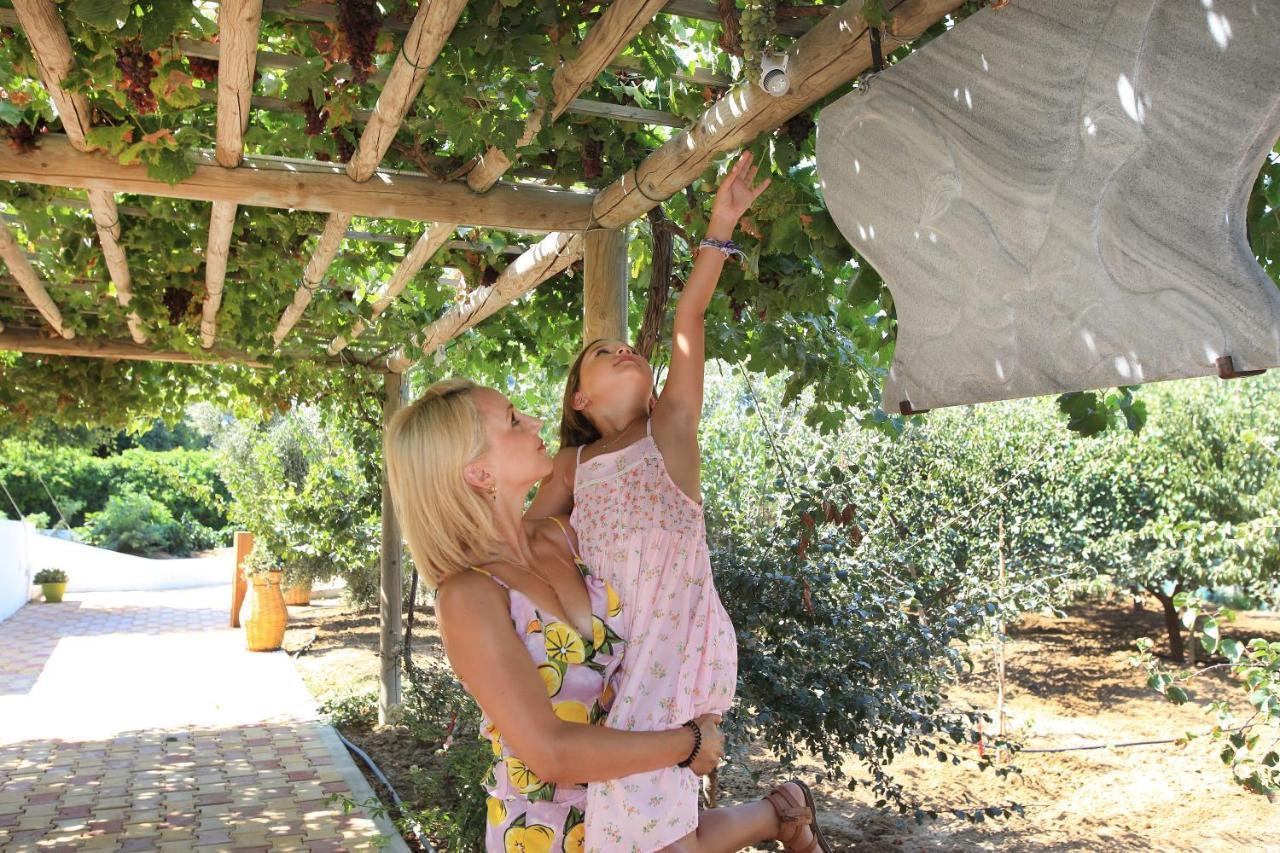Villa Paradise in Naxos Pláka Esterno foto